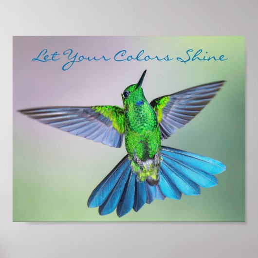 Inspirerend Hummingbird Green en Blue Poster (Voorkant)