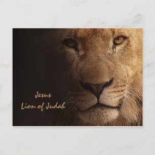 Inspirerend Jezusleeuw van Juda Christelijk Briefkaart