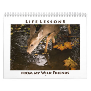 Inspirerend kalender voor wilde dieren