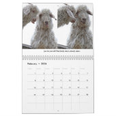 Inspirerend kalender voor wilde dieren (Feb 2026)