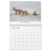 Inspirerend kalender voor wilde dieren (Mar 2026)