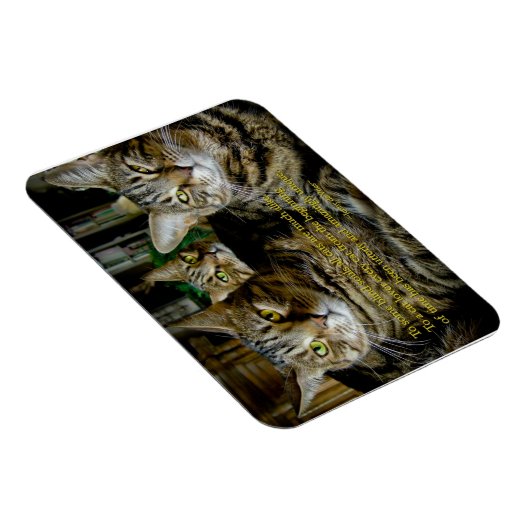 Inspirerend Kat Magnet - Alle katten zijn uniek Magneet (Rechterzijde)