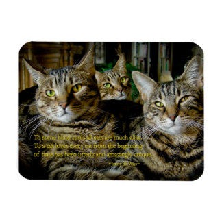 Inspirerend Kat Magnet - Alle katten zijn uniek Magneet