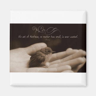 Inspirerend Kindness Quote van Aesop Magneet