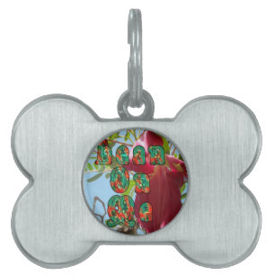 Inspirerend Lean On Me Floral Skyward Art Print Huisdieren Naamplaatje