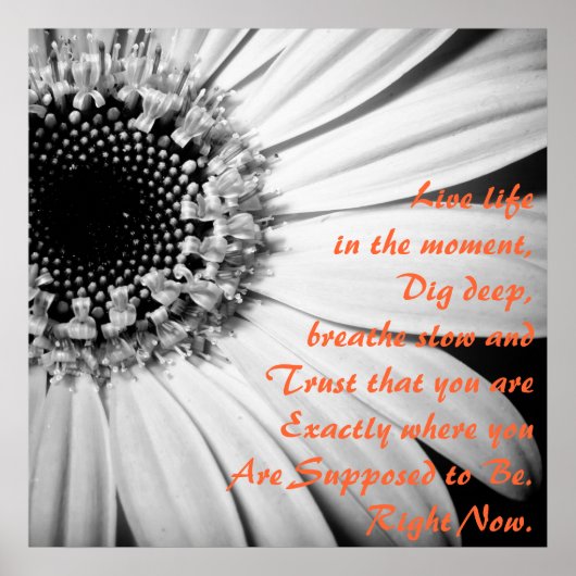 Inspirerend leven op het moment poster (Voorkant)