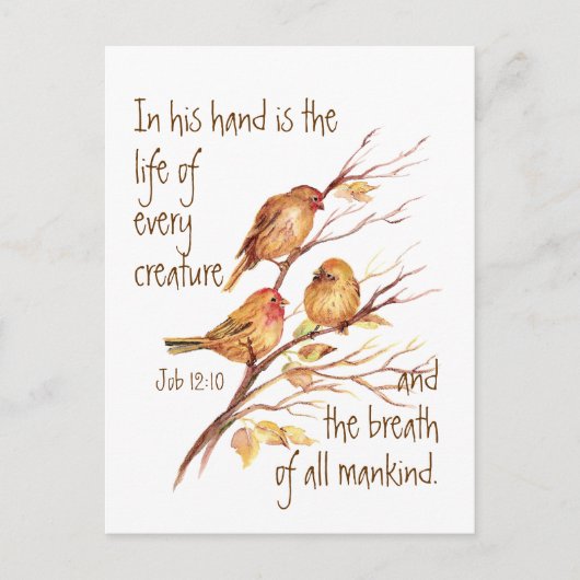 Inspirerend leven van elk schepsel citaat briefkaart (Voorkant)