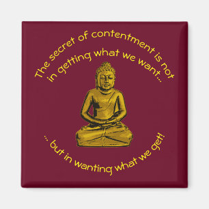 Inspirerend Magnet Magneet