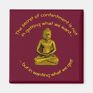 Inspirerend Magnet Magneet