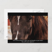 Inspirerend paarden Briefkaart (Voorkant / Achterkant)