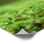 Inspirerend Poster (Hoek)