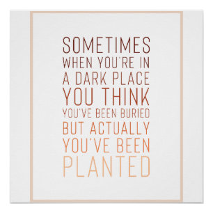 Inspirerend Poster Perfect Poster