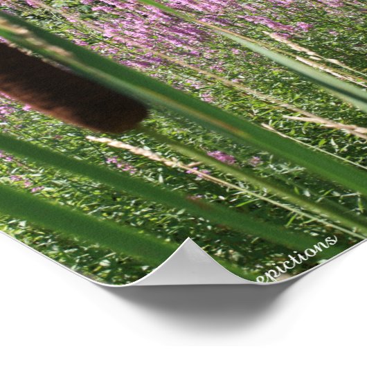 Inspirerend Poster van Cattail en Wildbloem (Hoek)