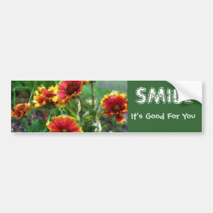 Inspirerend prijsopgave voor zeemijlvloeren bumpersticker