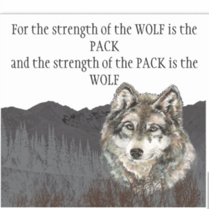 Inspirerend Quote Gray Wolf Mountain Animal Sticker