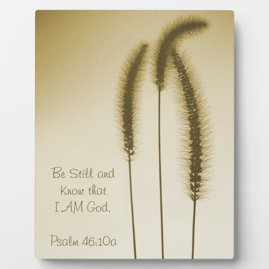 Inspirerend scriptbewerkte, bruine kop fotoplaat (Voorkant)