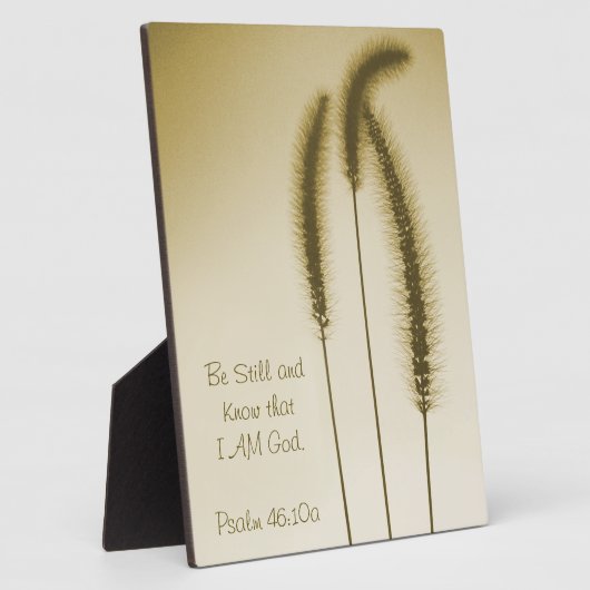 Inspirerend scriptbewerkte, bruine kop fotoplaat (Zijkant)