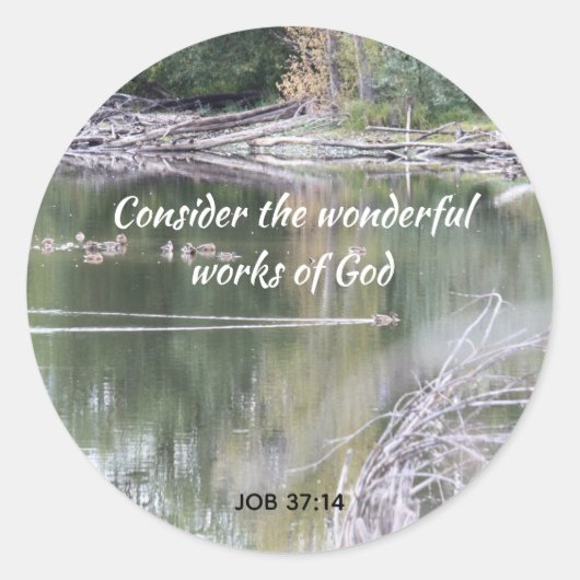 Inspirerend scriptproeverbindmiddel voor vogels, z ronde sticker (Voorkant)
