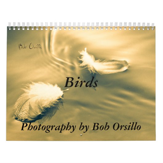 Inspirerend vogelkalender kalender (Hoes)