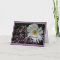 Inspirerend wenskaarten bulk korting geschenken