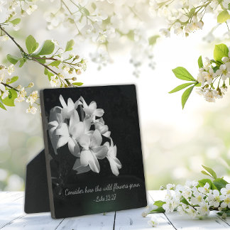 Inspirerende Bijbeltekst Fotoplaat