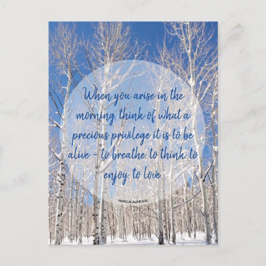Inspirerende Espen Winterlandschap Foto & Citaat Briefkaart (Voorkant)
