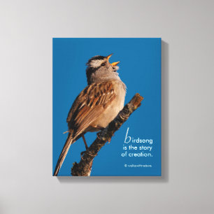 Inspirerende "Vogelsong is het verhaal van de sche Canvas Afdruk