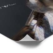 Inspiring Dragonfly Poster (Coin)