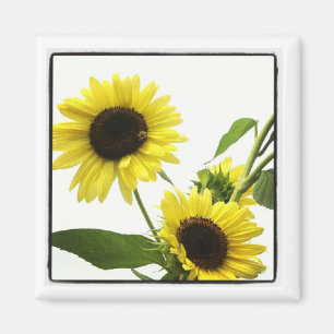 instagram fotomagneet magneet