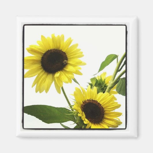 instagram fotomagneet magneet (Voorkant)