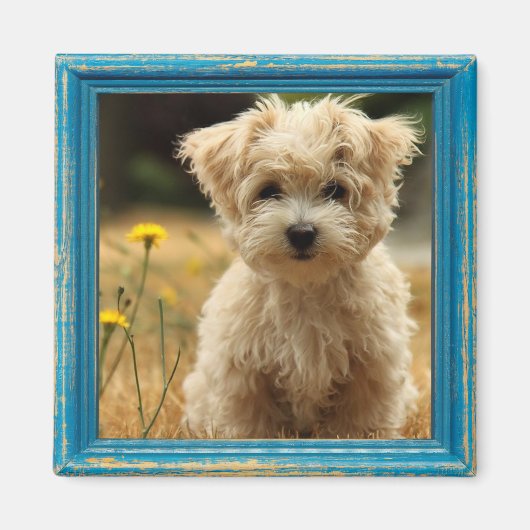 instagram fotomagneet magneet (Voorkant)