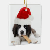 Instagram Pet Photo Ornament (Rechts)