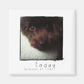 instagram vriend photomagnet magneet