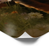 Installatie Art Dachshund Een weide verkennen Perfect Poster (Hoek)