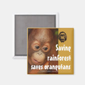 Instandhouding Magneet (Voorkant / Achterkant)