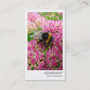 Instant foto - Bumble Bee op Sedum Visitekaartje