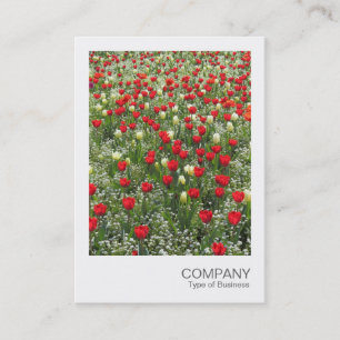 Instant Photo 085 - Bed of Tulips Visitekaartje