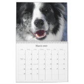 Instantanés du calendrier de l'asile de fous 2012 (Mar 2026)