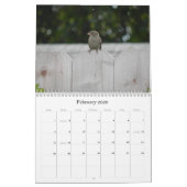 Instantanés du calendrier de l'asile de fous 2012 (Feb 2026)