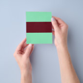 Instelbare groene & bruine flyer (Hand)