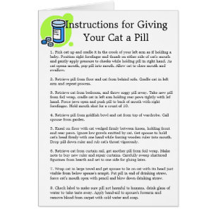 "Instructions pour le chat de GivingYour une