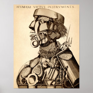  instrumenten voor menselijke stabiliteit - Koken Poster