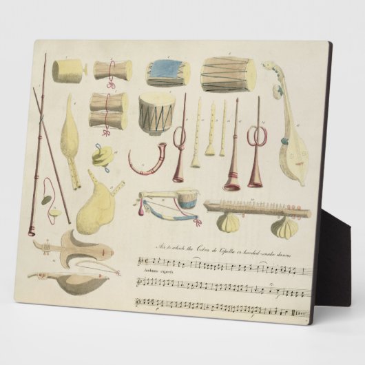 Instruments de musique indiens, plaque 23 de 'Orie (Côté)