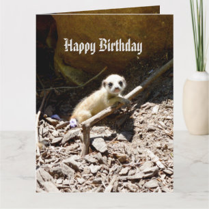Insy Winsy Baby Meerkat, Big Birthday Kaart