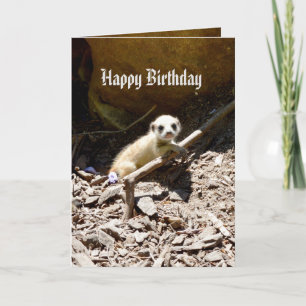 Insy Winsy Baby Meerkat, Birthday Kaart