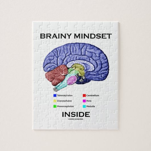 Intelligente Denkrichting binnen (Anatomische Legpuzzel (Verticaal)