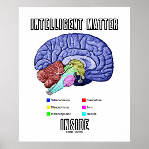 Intelligente materie binnenin (Humor van de anatom Poster