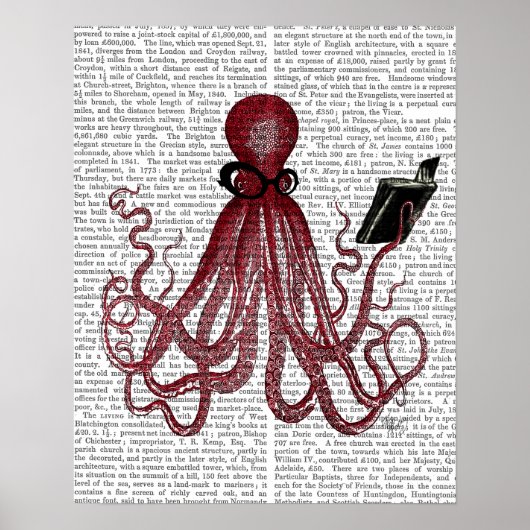 Intelligente Octopus Poster (Voorkant)