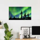 Intense Aurora borealis over zwarte spar taiga Poster (Thuiskantoor)