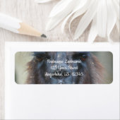 Intense Black Llama Boerderij Dieradres Etiket (Insitu)